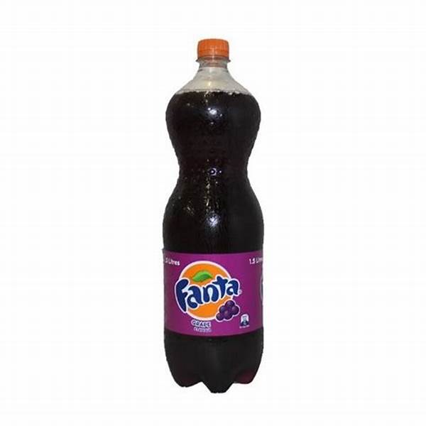 FANTA B/CURRANT 500ML PET