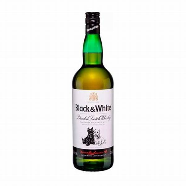 BLACK & WHITE SCOTCH 1L